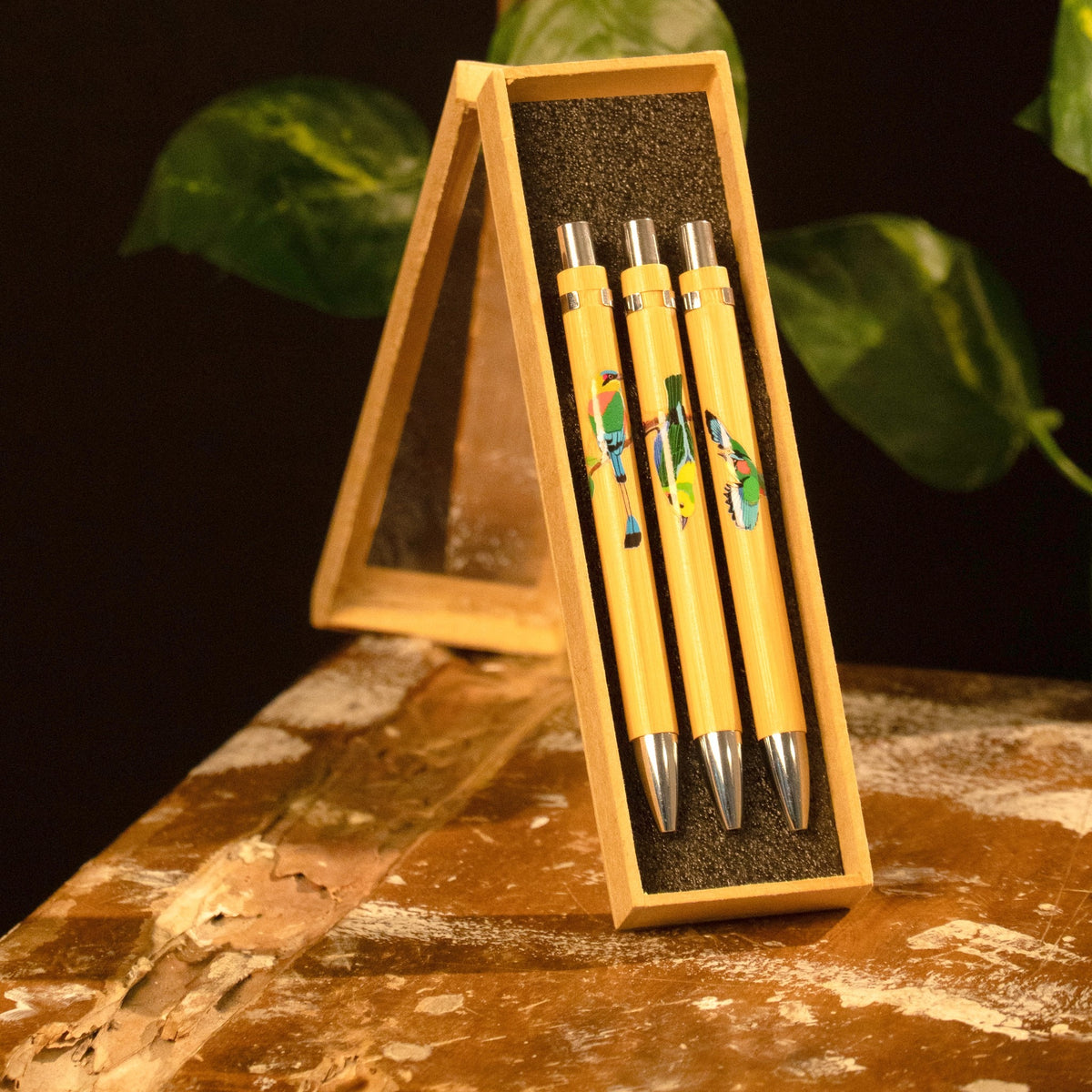 Caja de madera abierta con tres esferos de bambú, cada uno ilustrado a color con un ave de Colombia